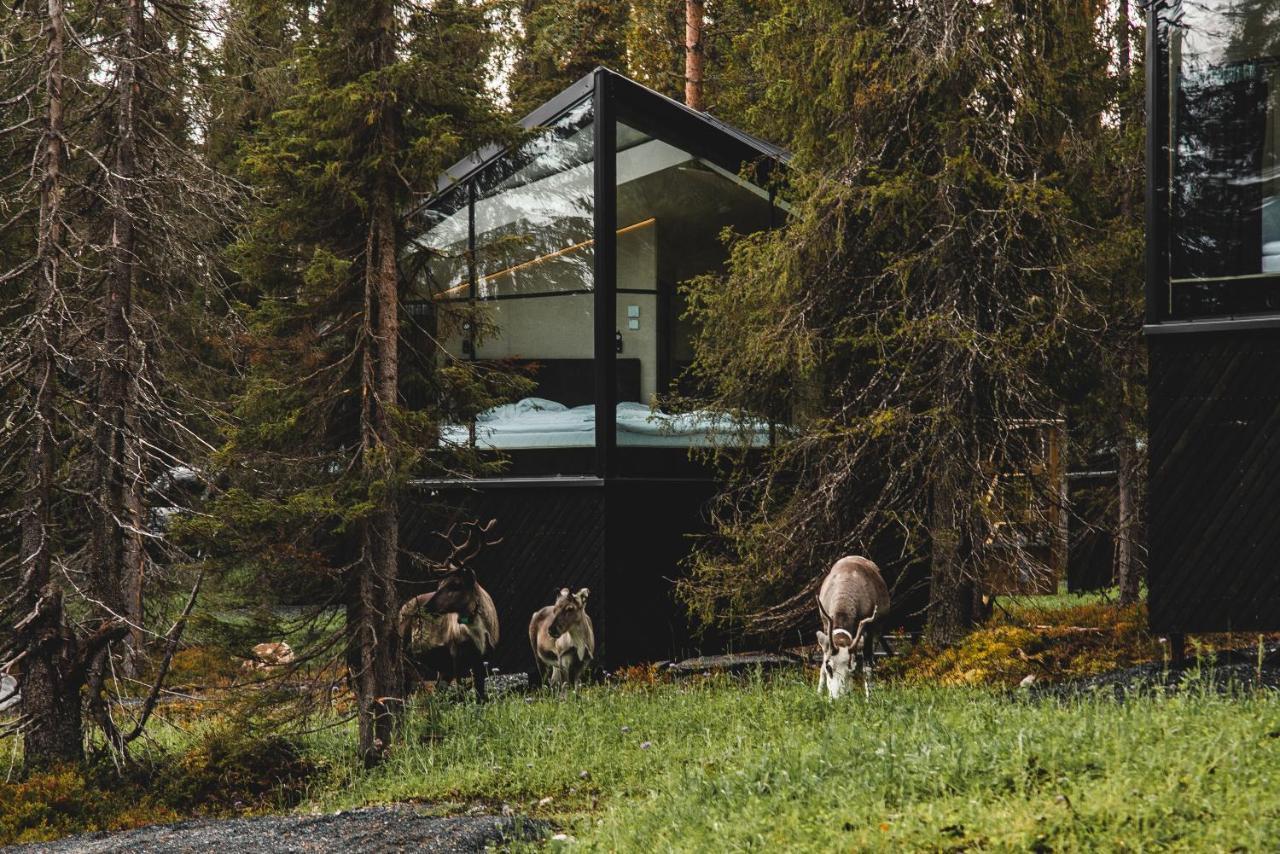 Magical Pond Nature Igloos Ruka Extérieur photo
