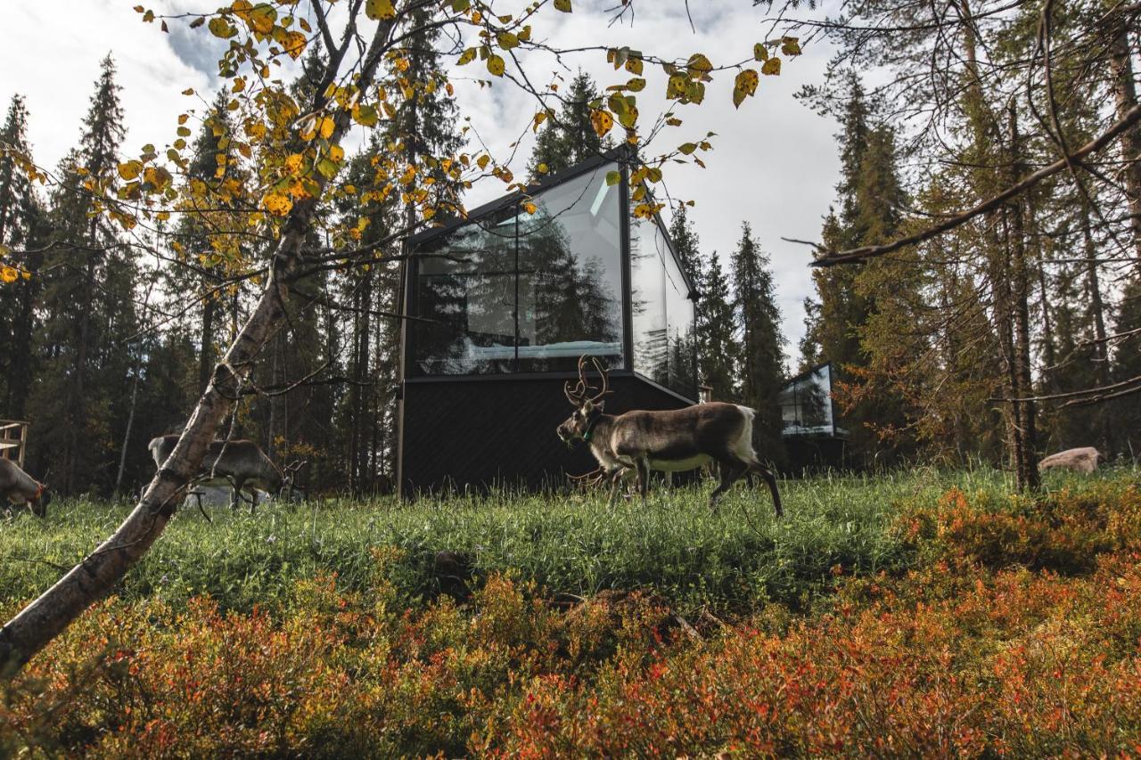 Magical Pond Nature Igloos Ruka Extérieur photo